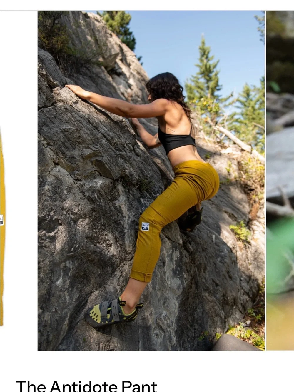 Seed Pants Organic Hemp Joggers - Mustard. Unisex